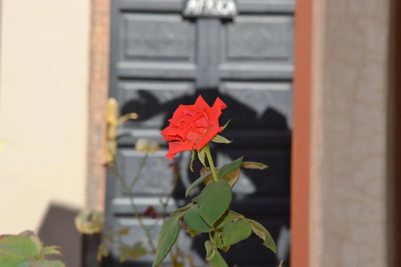 Riad See Moon And Spa Marrakesh Bed & Breakfast